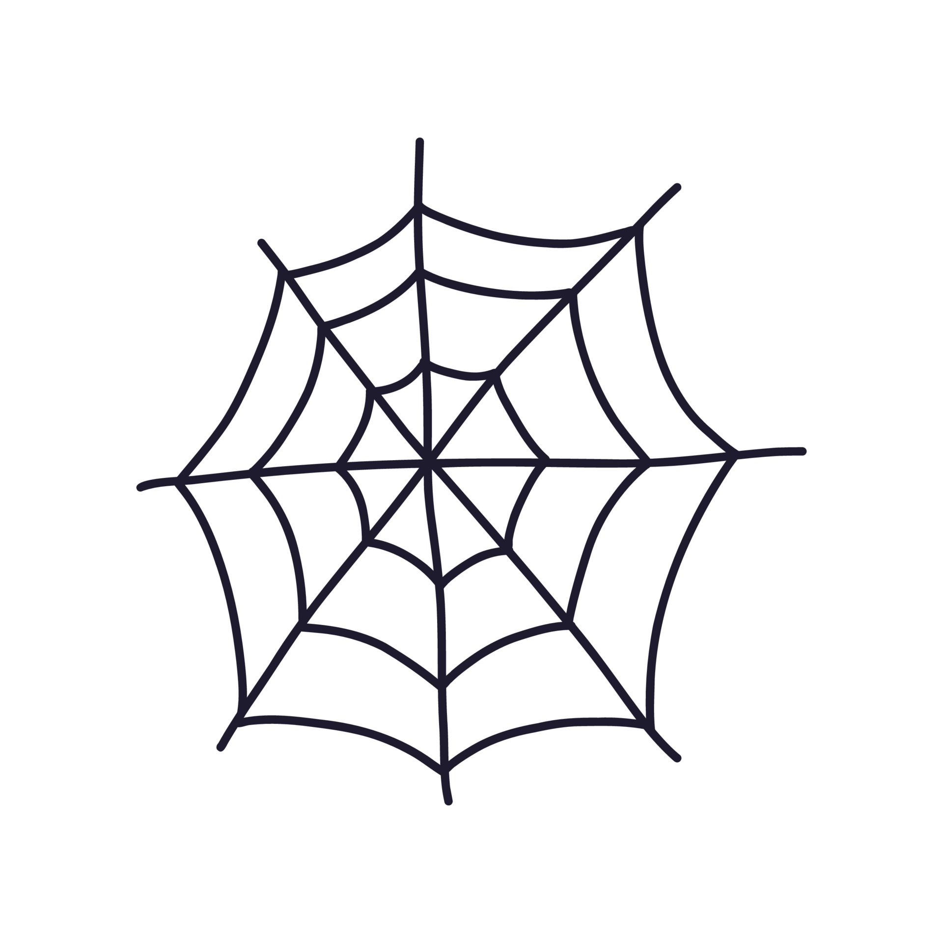 Spider web hand drawn cartoon flat vector illustration isolated on