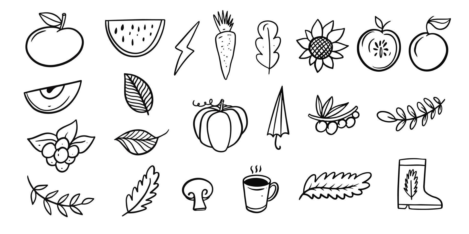 Autumn hand drawn black color sketch set doodle element. vector