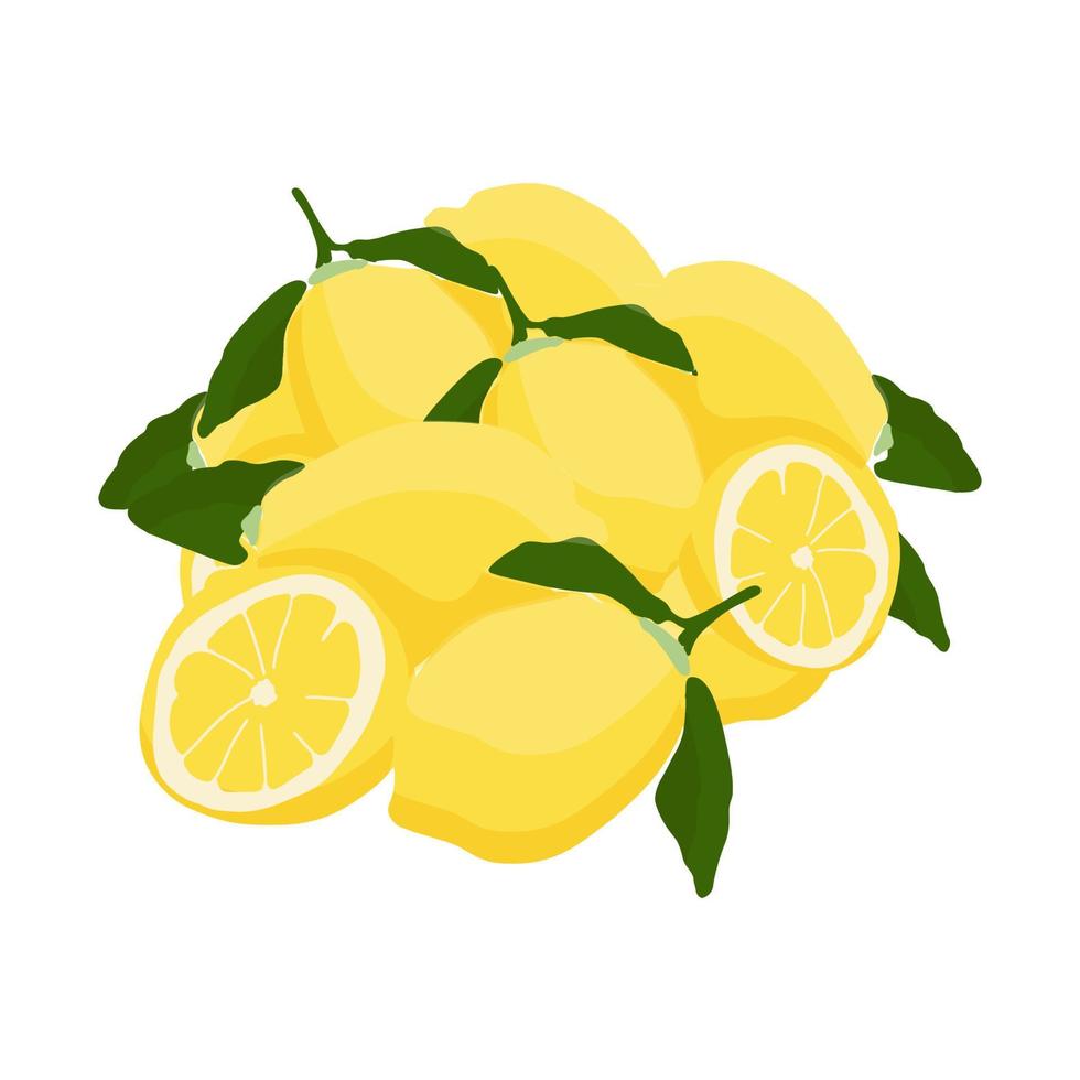 Colorful Display Of Lemons In Market. lemon background vector