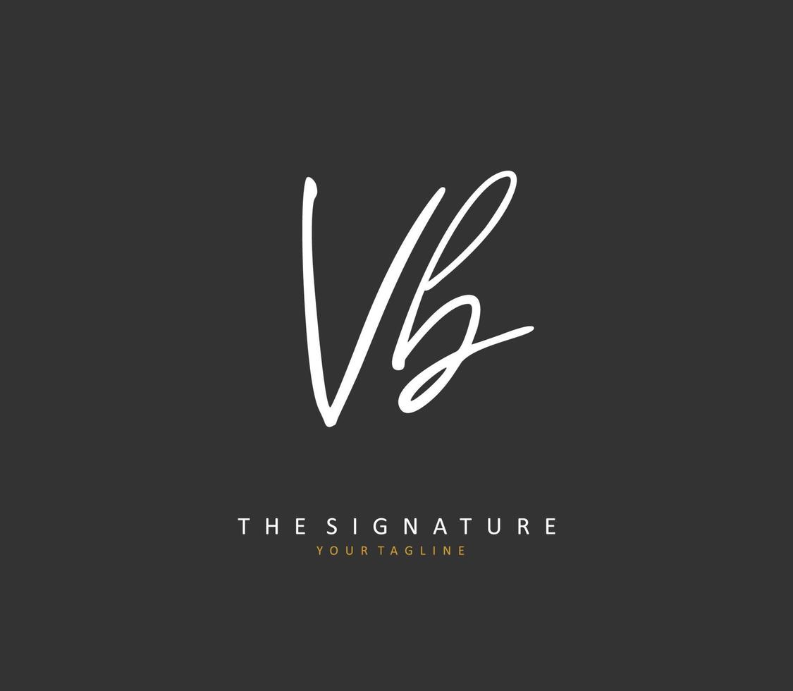 V B VB Initial letter handwriting and  signature logo. A concept handwriting initial logo with template element. vector