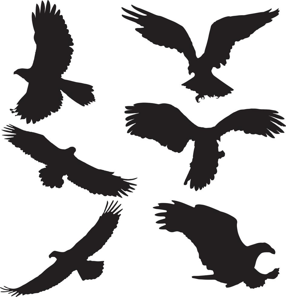 siluetas de águila . águila silueta conjunto en blanco antecedentes vector