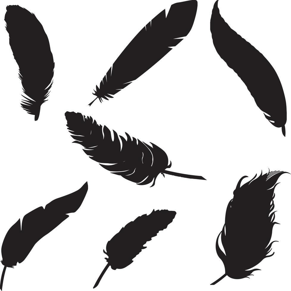 set of feather silhouette vector . silhouette of bird feather