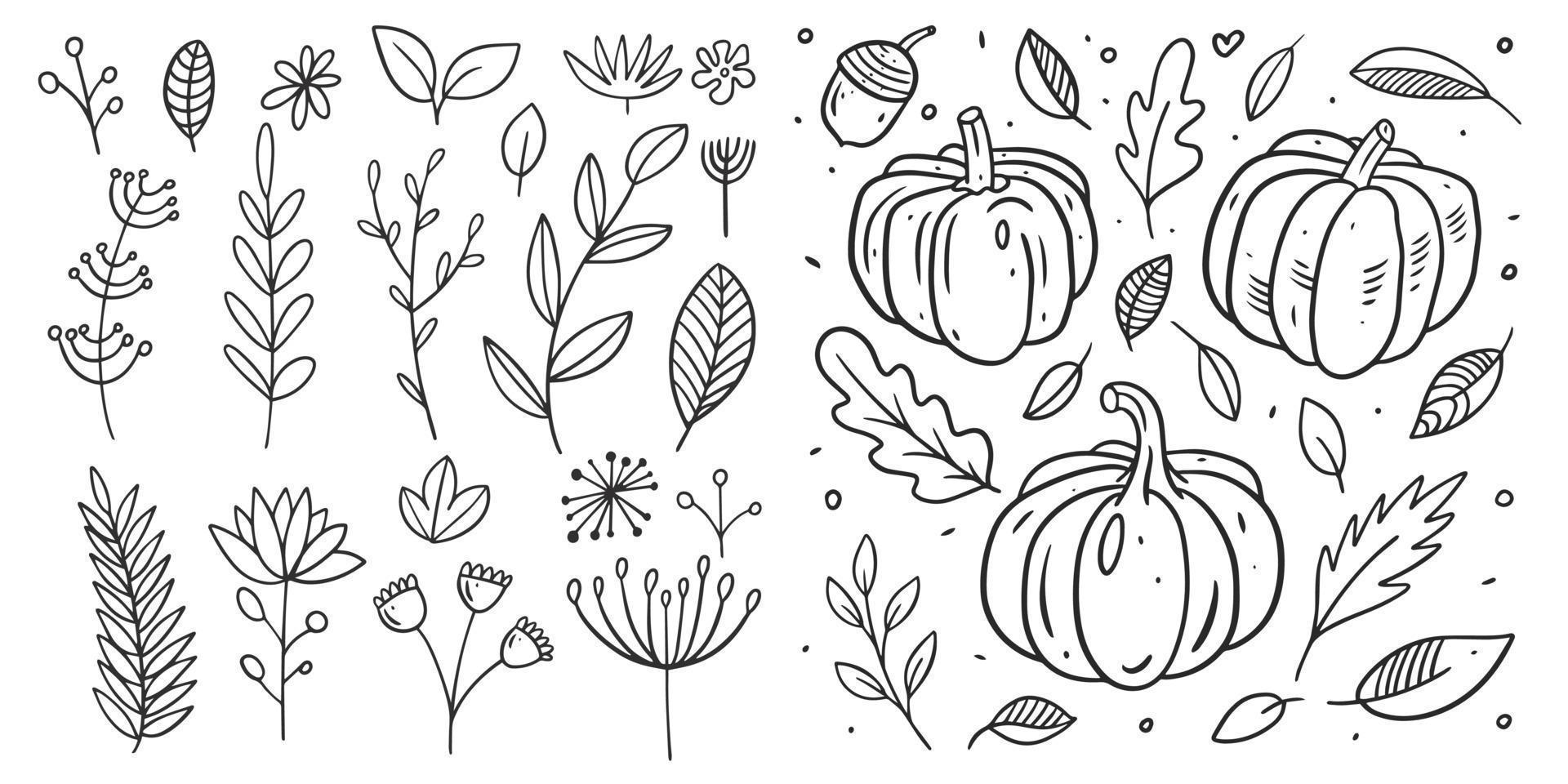Autumn fall doodle elements and leaves set. Hand drawn sketch vector illustration.
