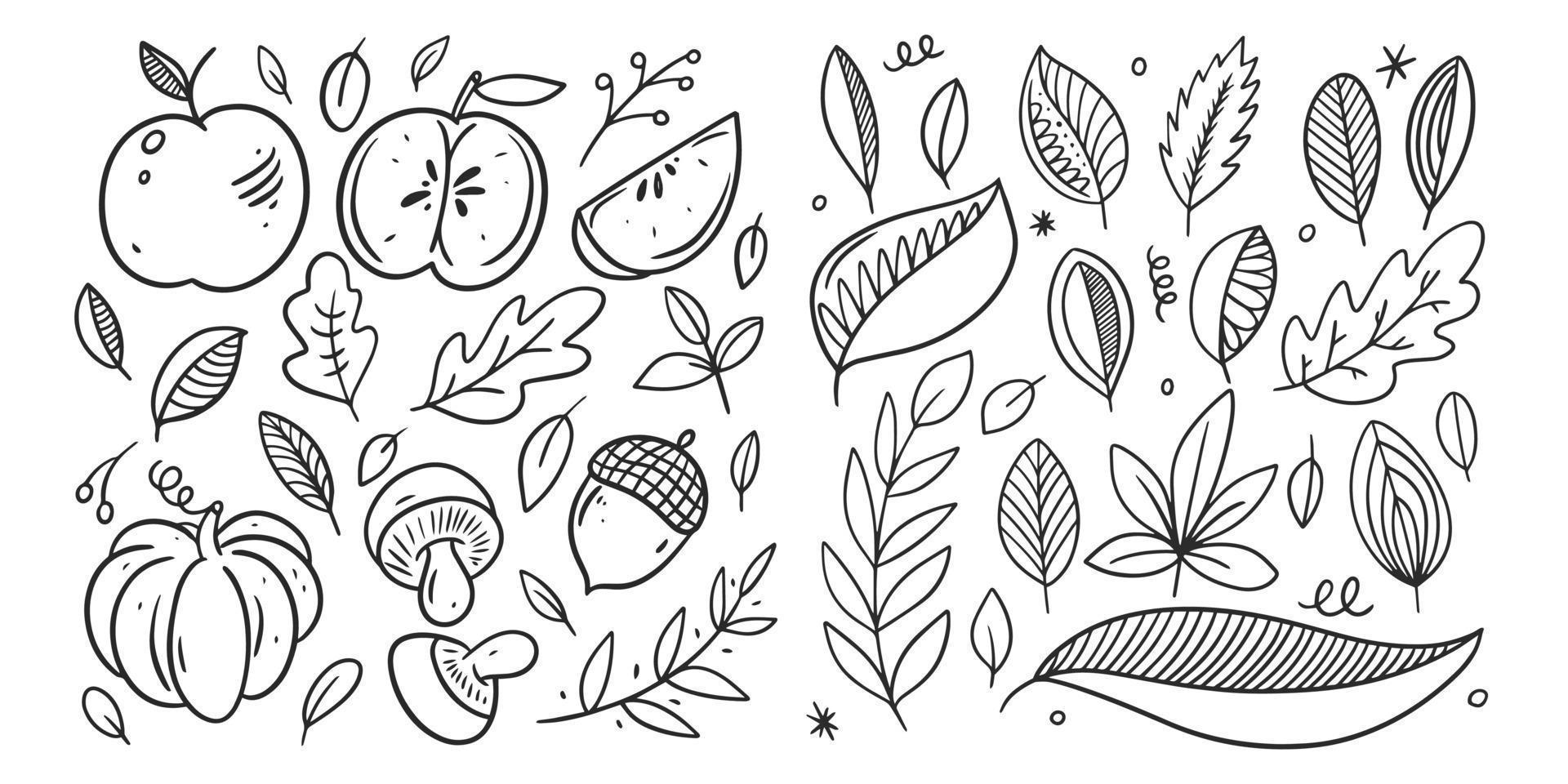 Hand drawn line art autumn fall doodle set elements. Vector sketch illustration.