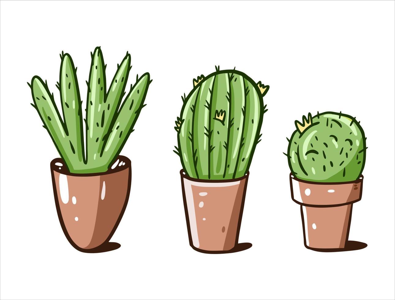 Green cactus in brown pots. Hand drawn vector illustration.