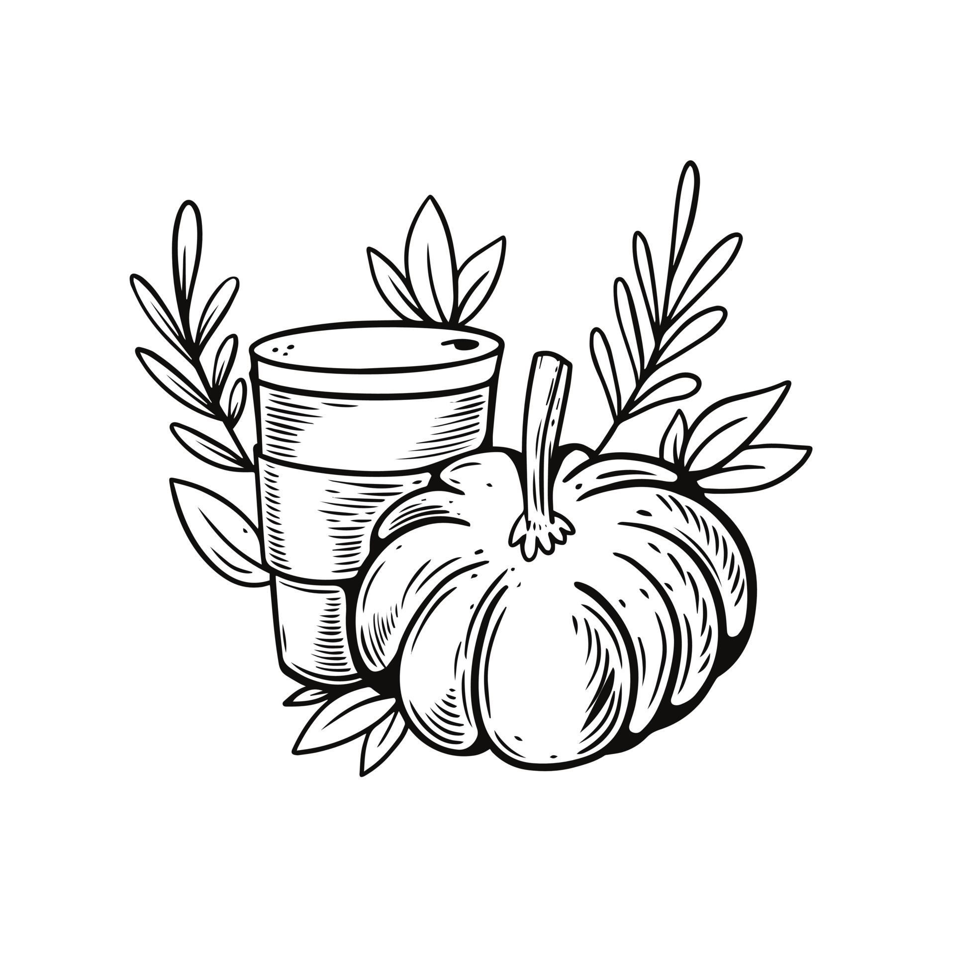 Hand Drawn Black Color Outline Pumpkin Spice Drink 21747760 Vector Art hand-drawn-black-color-outline-pumpkin-spice-drink-21747760-vector-art