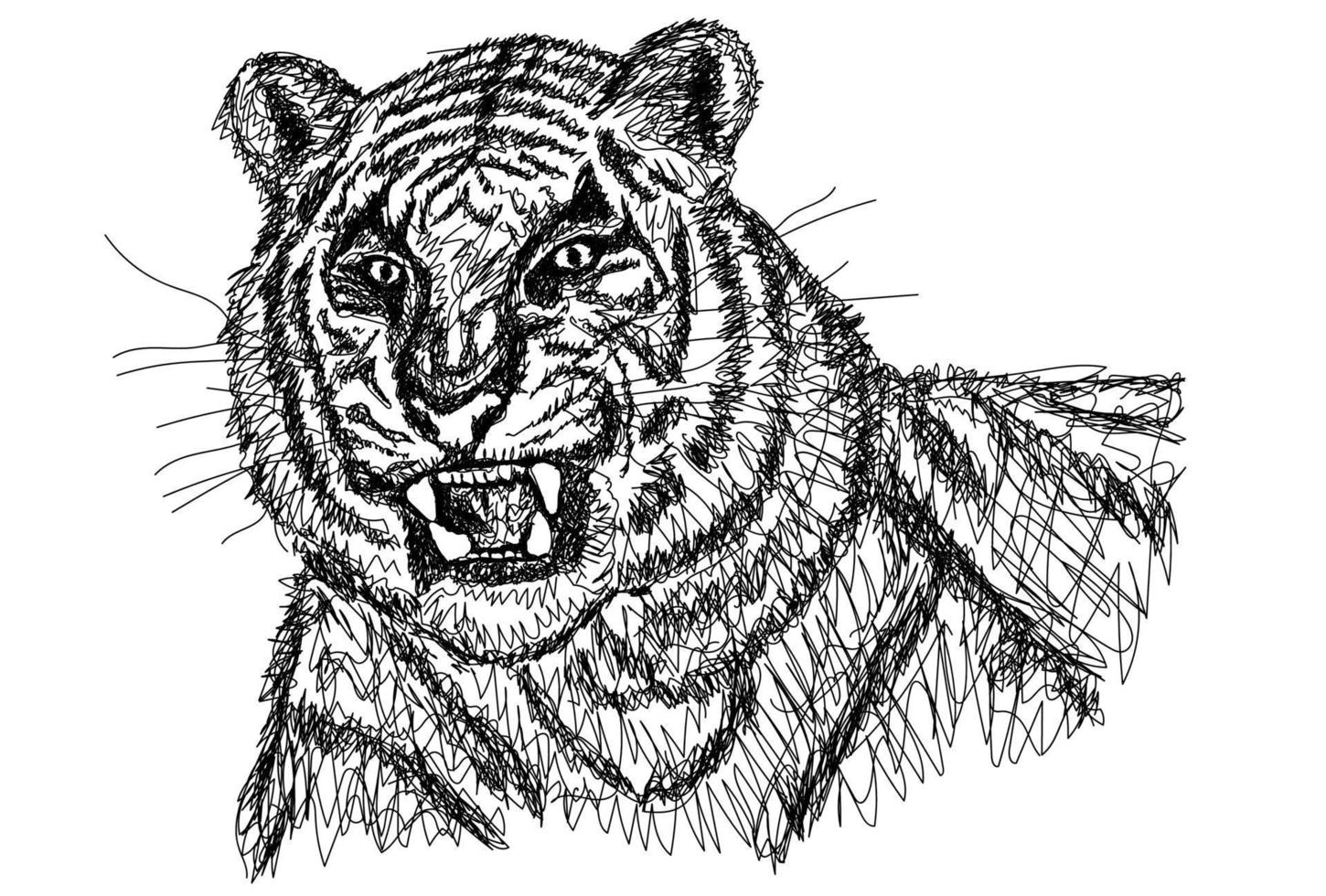 Tiger Line Art. vector