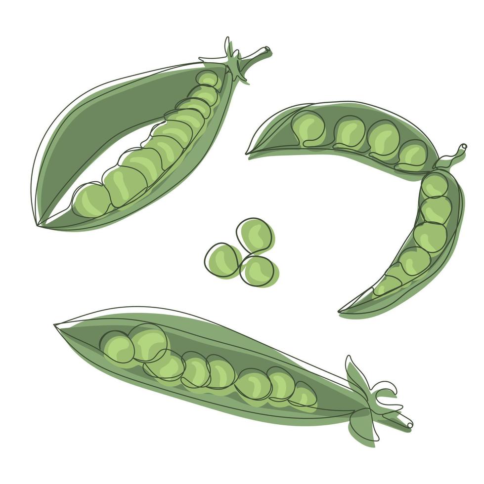 Peas. Set of vegetables in line art isolated on white background vector