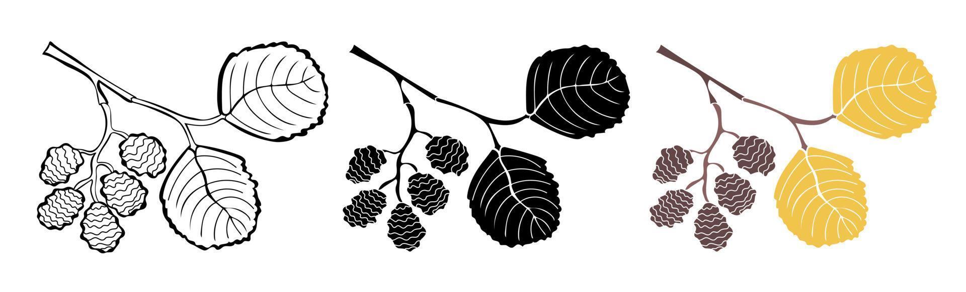 Alder twigs outline, in silhouette and colorful isolated on white background vector
