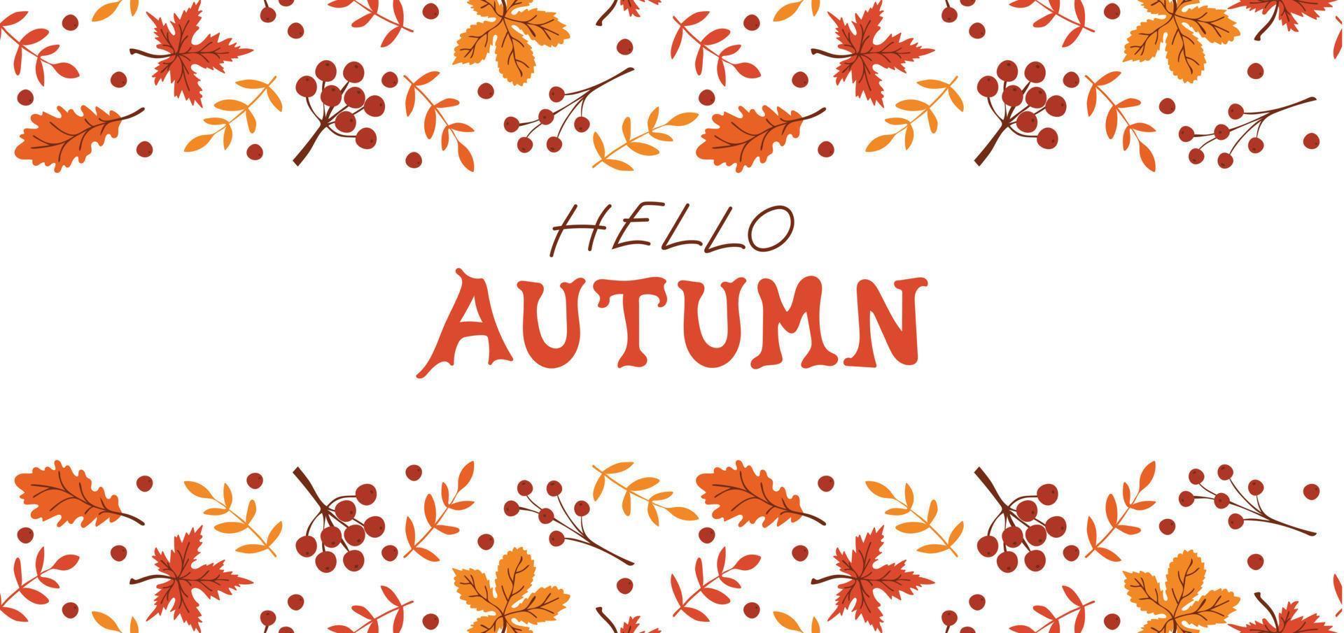 Hello autumn. Horizontal background with autumn leaves and berries on a white background vector