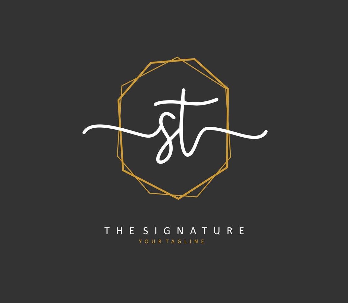 s t S t inicial letra escritura y firma logo. un concepto escritura inicial logo con modelo elemento. vector