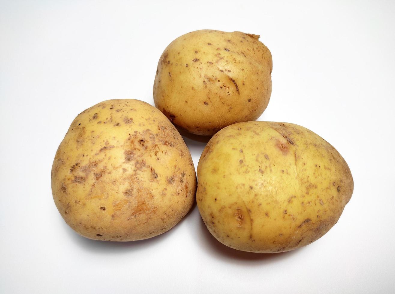 Potato, isolated in white background photo