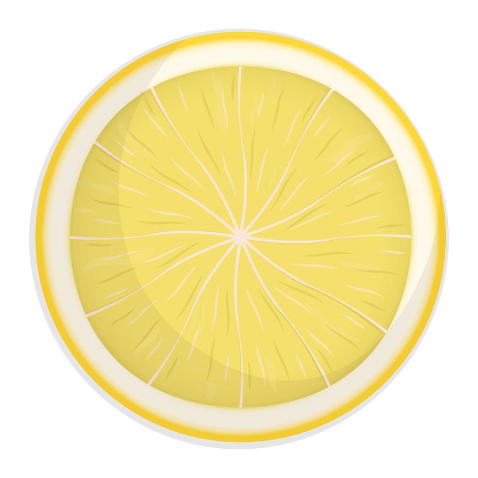Fresh lemon slice with shadow isolated on white, Vector flat illustration