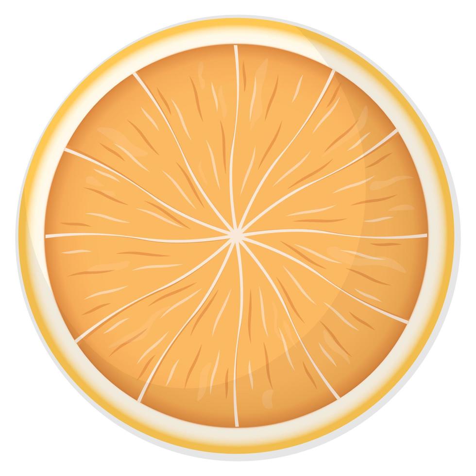 Fresh orange slice with shadow isolated on white, Vector flat illustration