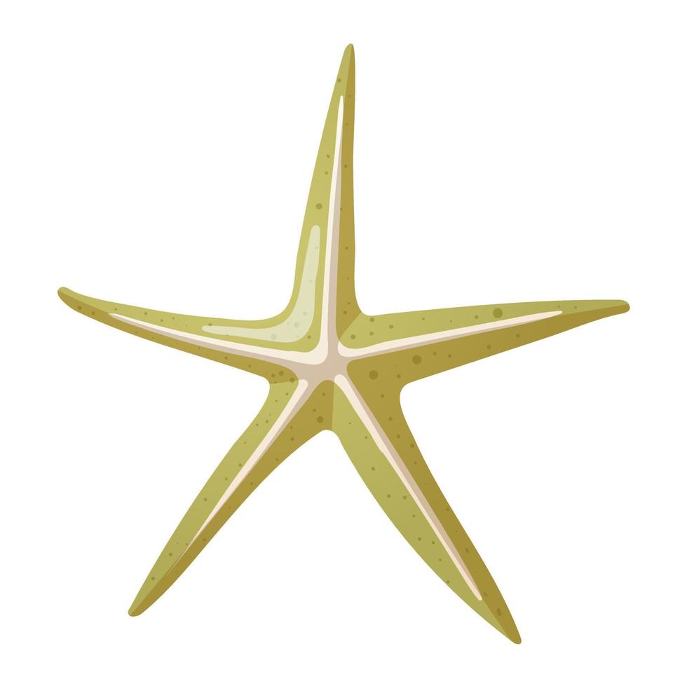 Vector isolated illustration on white background. Cartoon green thin starfish. Picture in a realistic style with a gradient.