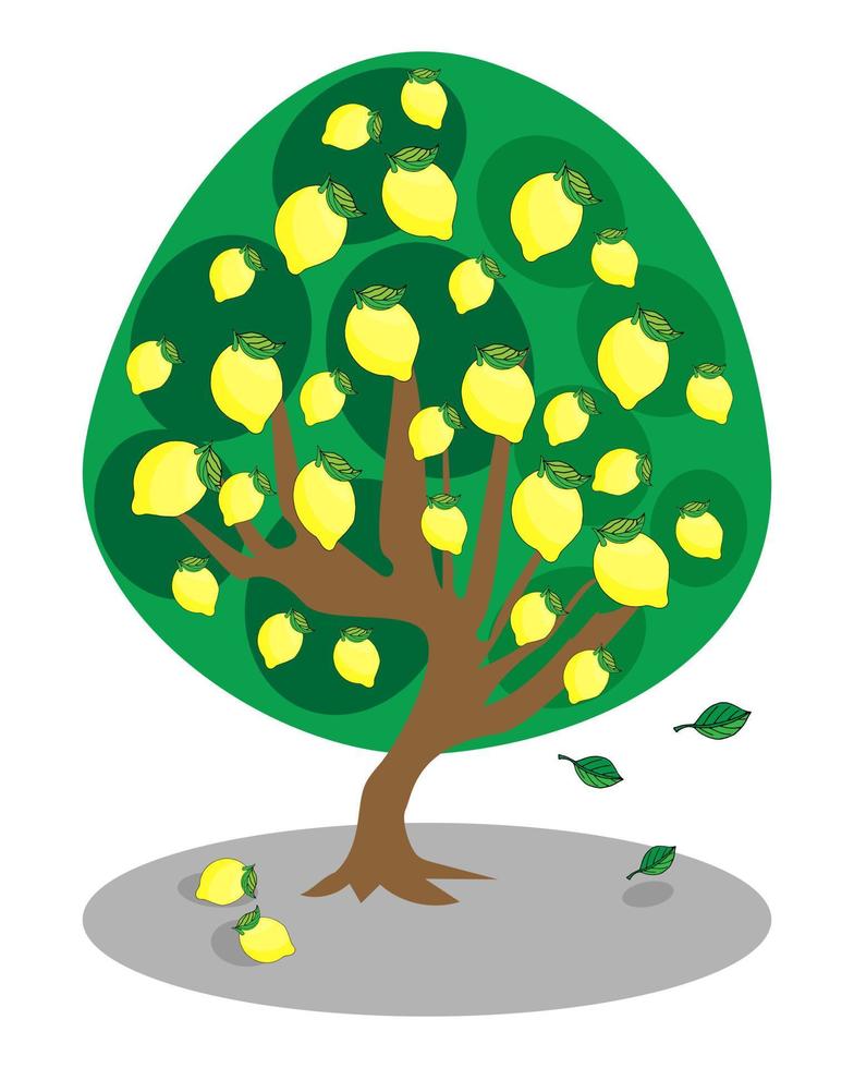 vector illustration lemon tree with ripe fruits