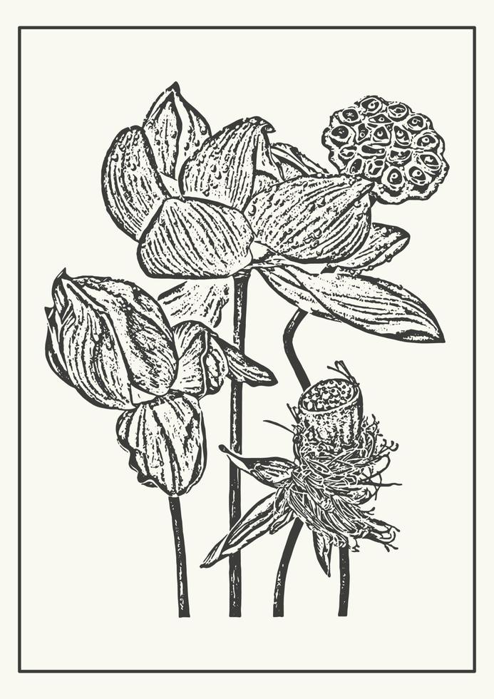 monocromo loto flores botánico póster. bosquejo ilustración en grabado estilo. saludo tarjeta y invitación diseño de el boda, cumpleaños vector