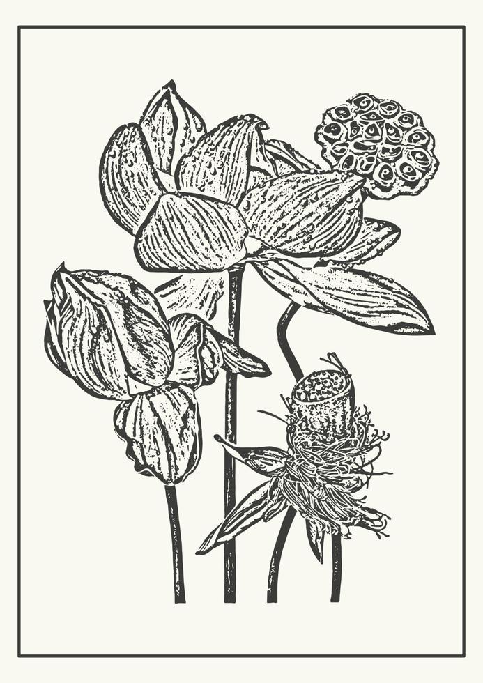 Monochrome lotus flowers botanical poster. Sketch illustration in engraving style. Greeting card and invitation design of the wedding, birthday vector
