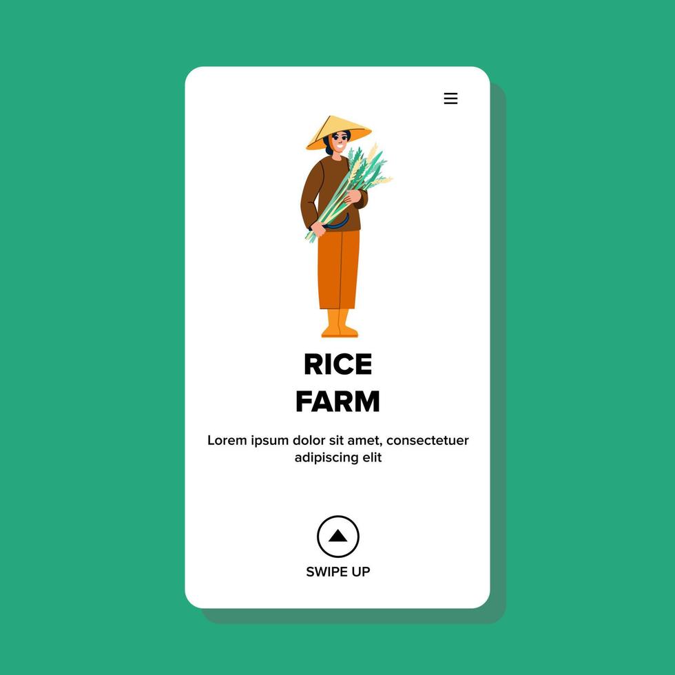 rice farm vector