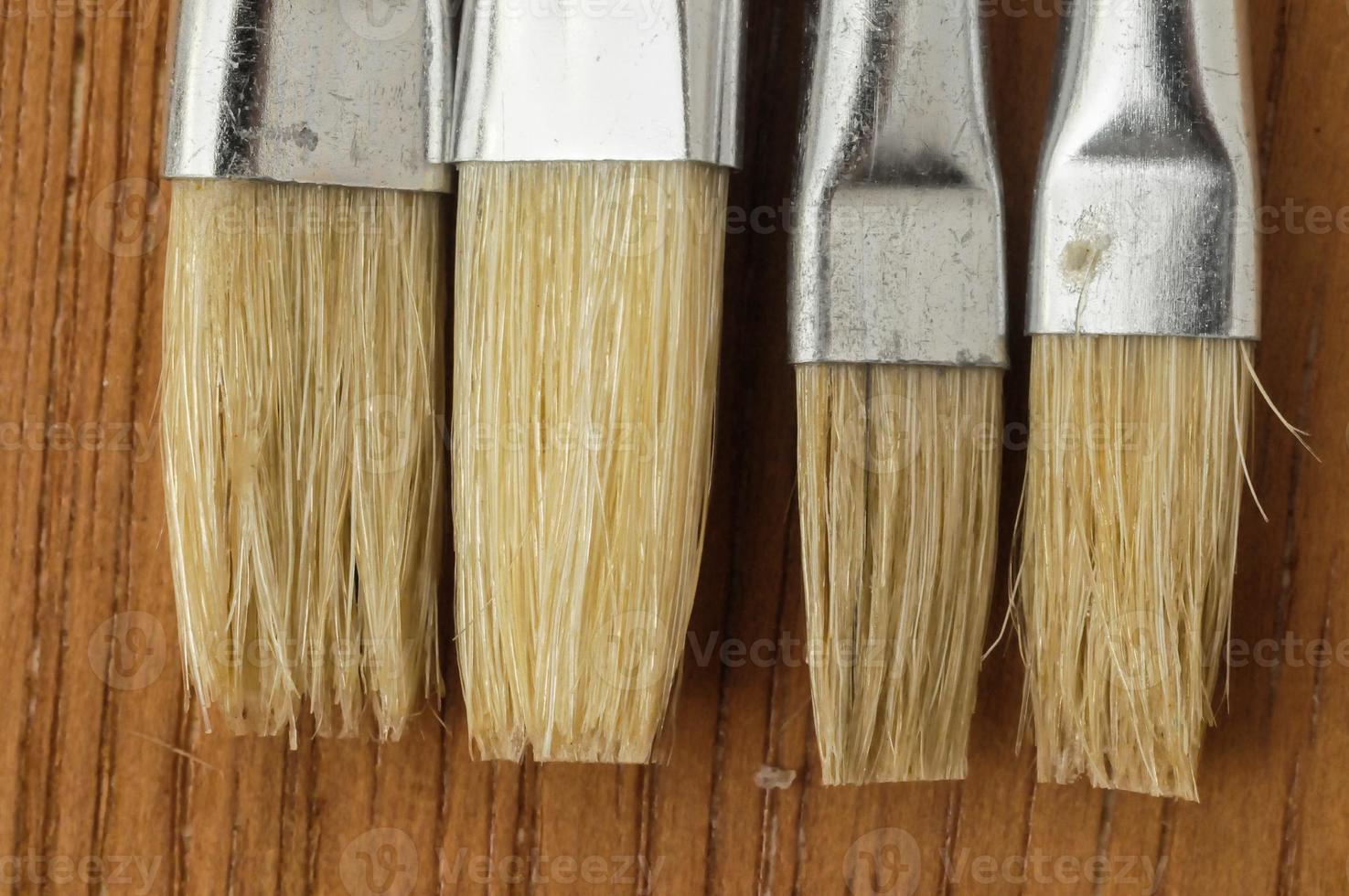 Assorted paint brushes photo