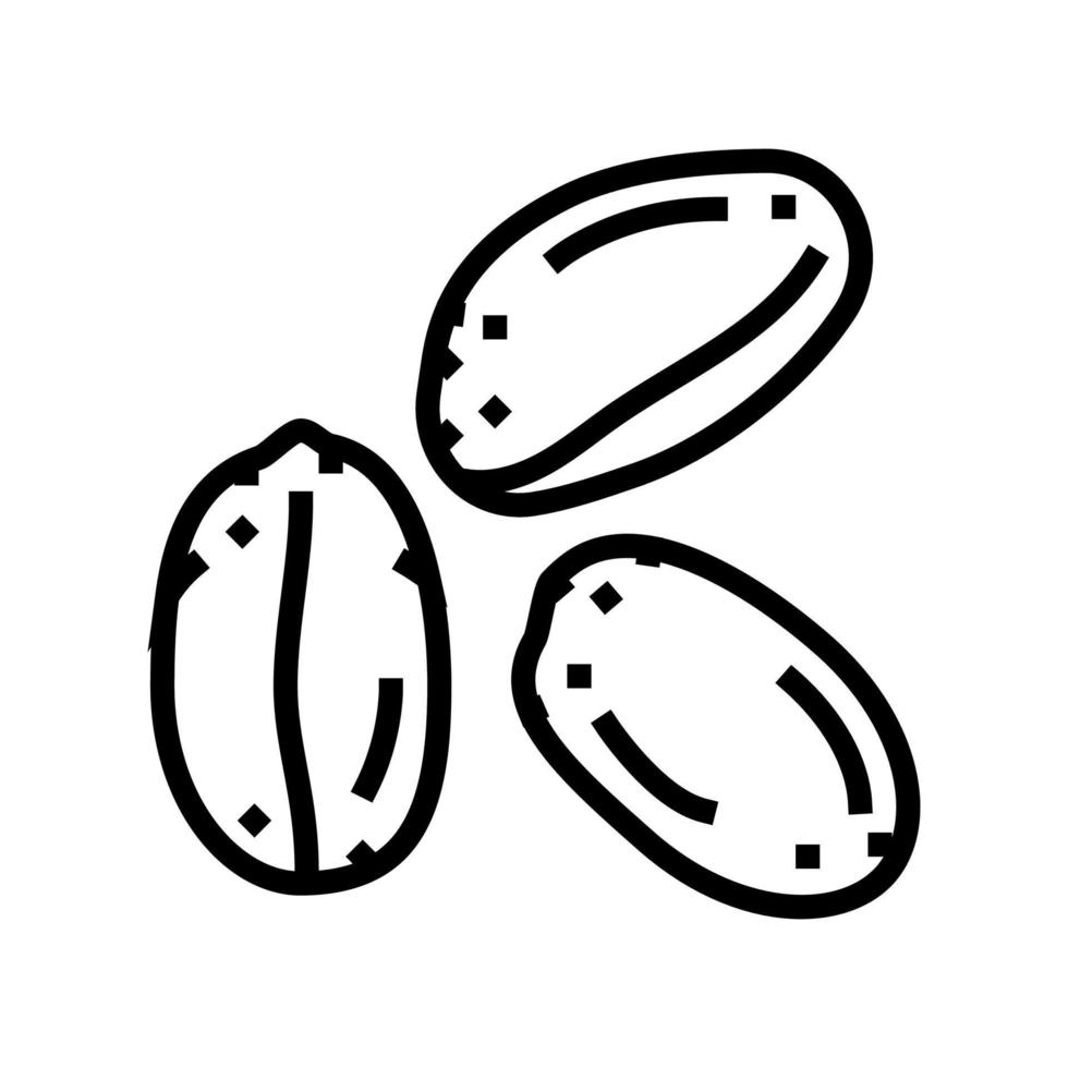 grain ripe wheat line icon vector illustration