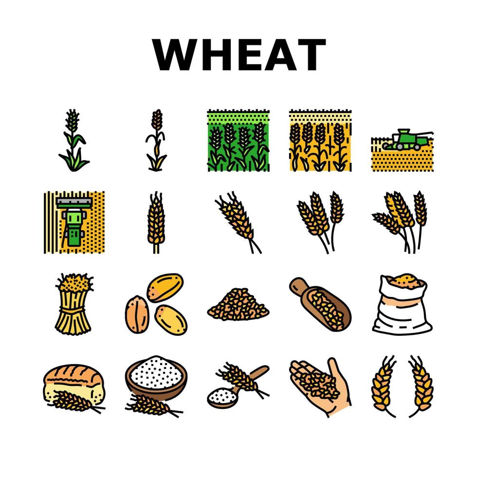 trigo grano un pan cosecha íconos conjunto vector