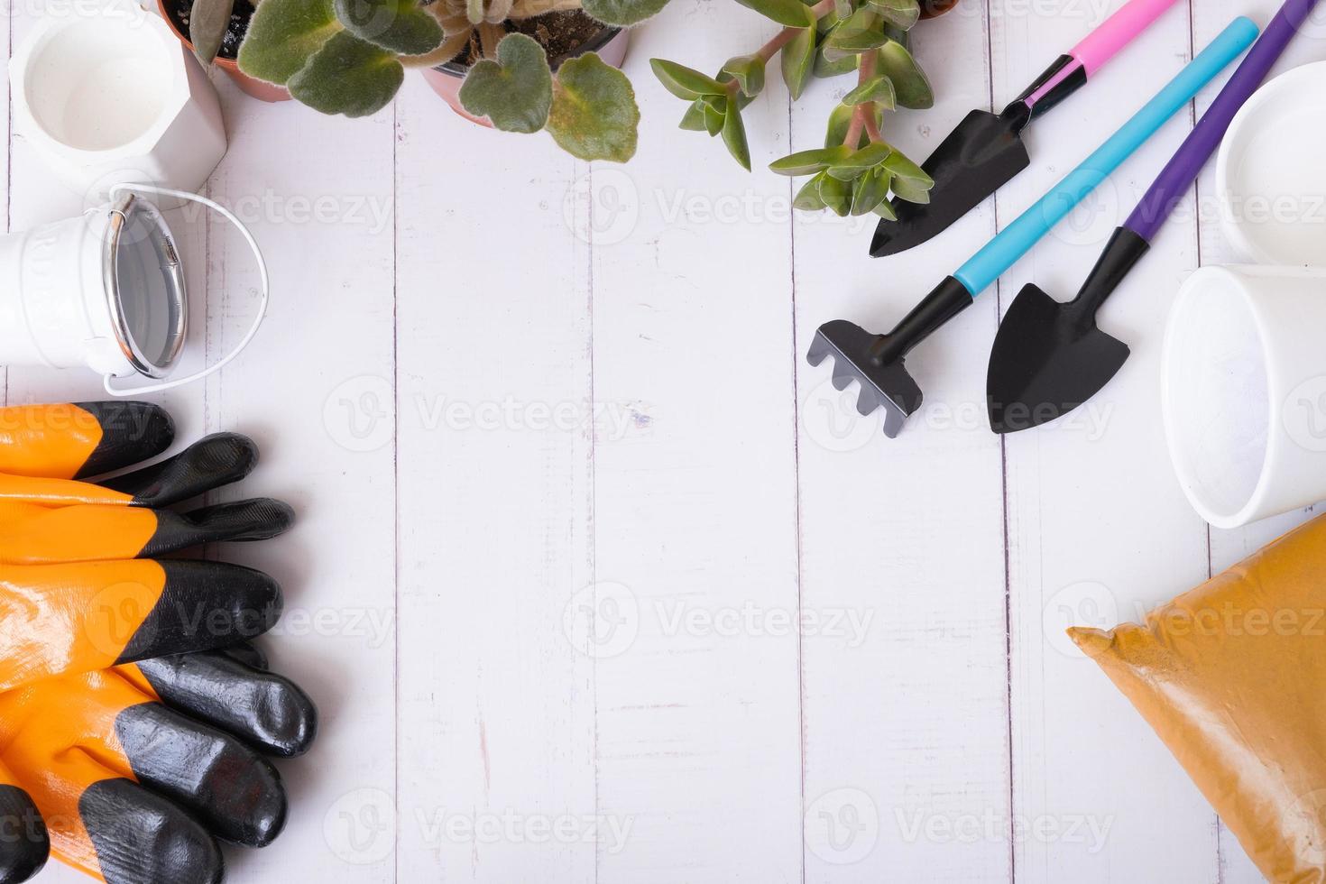 Frame made from pots, plants and gardening tools flat lay, top view. Home gardening concept. Copy space photo