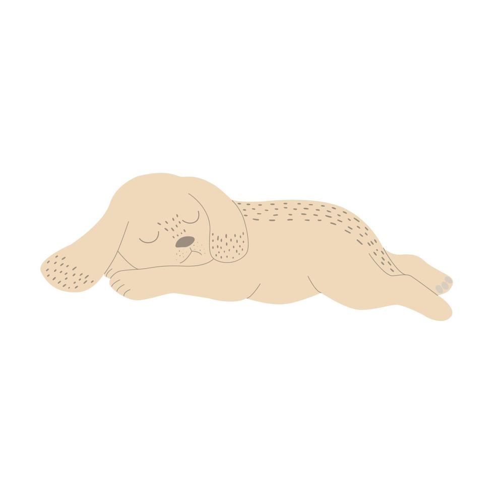 Cute beige puppy in cartoon style sleeps stretched out on his stomach. For web icons, postcards, children's design, etc. Vector illustration isolated on a white background.
