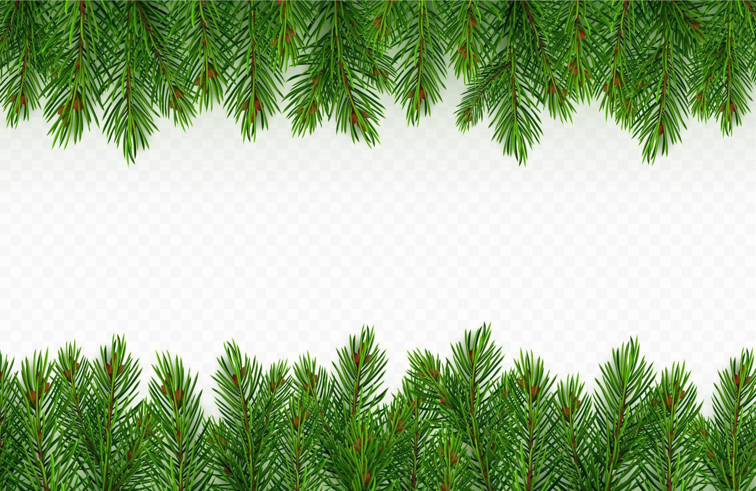 Pine tree branch border. green fir twigs frame vector