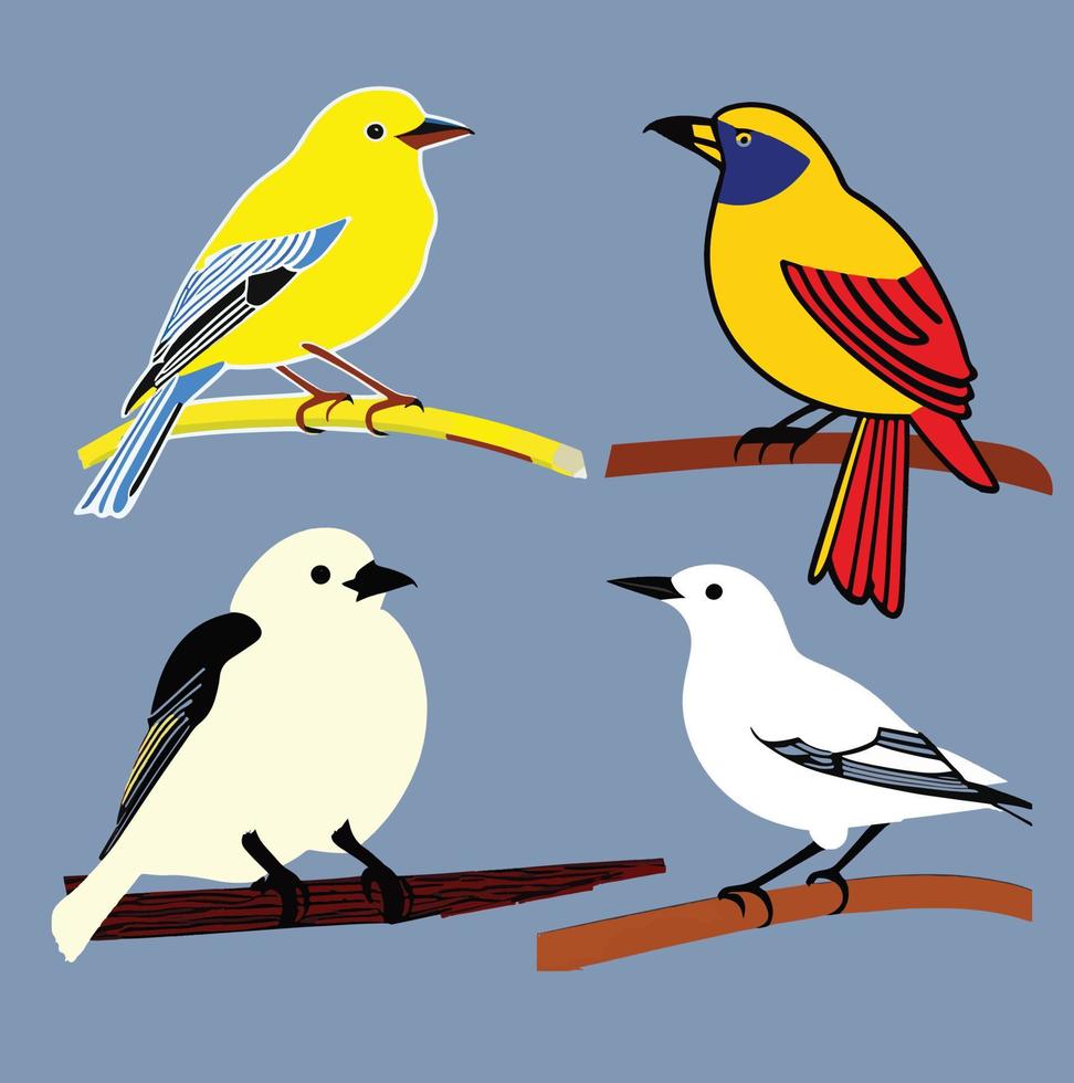 Beautiful Birds Vector  Sitting On A Branch On A Sunny Day, Wonderful Colors