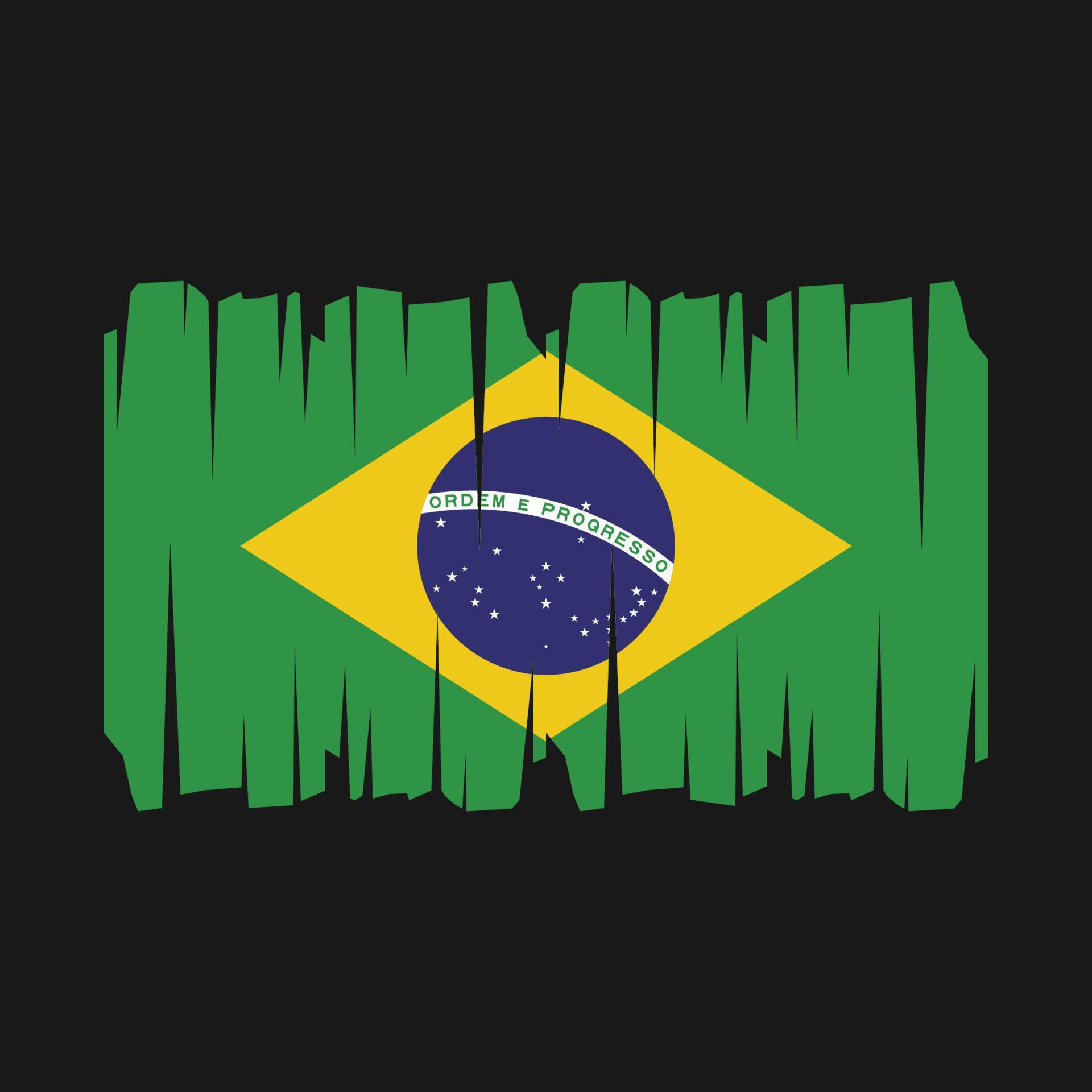 Brazil Flag Vector 21763246 Vector Art at Vecteezy