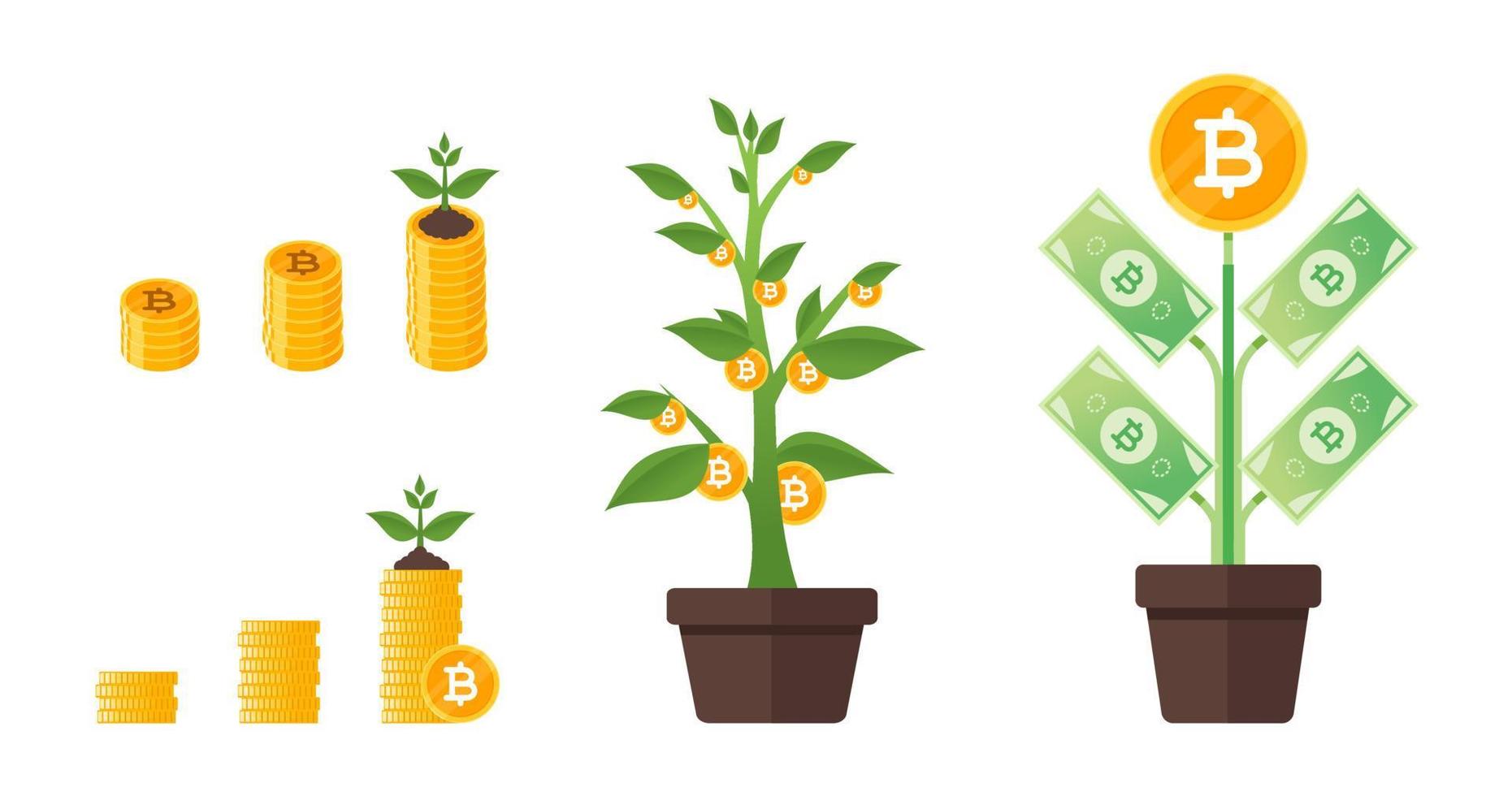Thai Baht Money Tree Growing vector