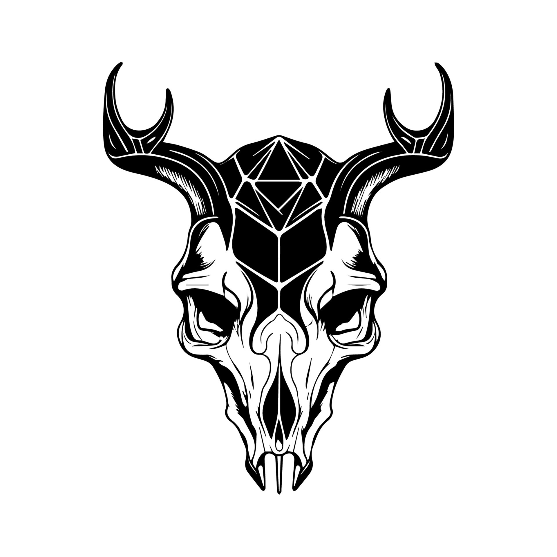 A collection of animal skull bone line art illustrations, perfect for