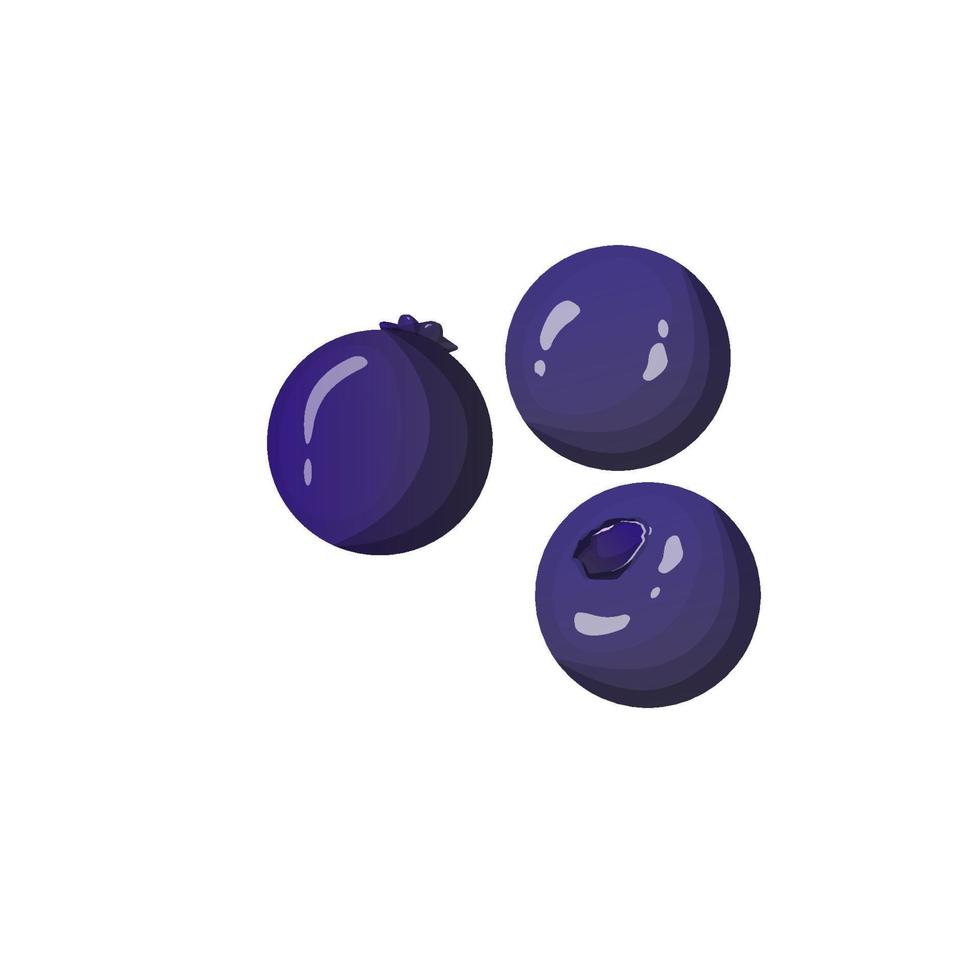 Blueberry fruit icon in flat color style. Berry vitamin nutrition food vector