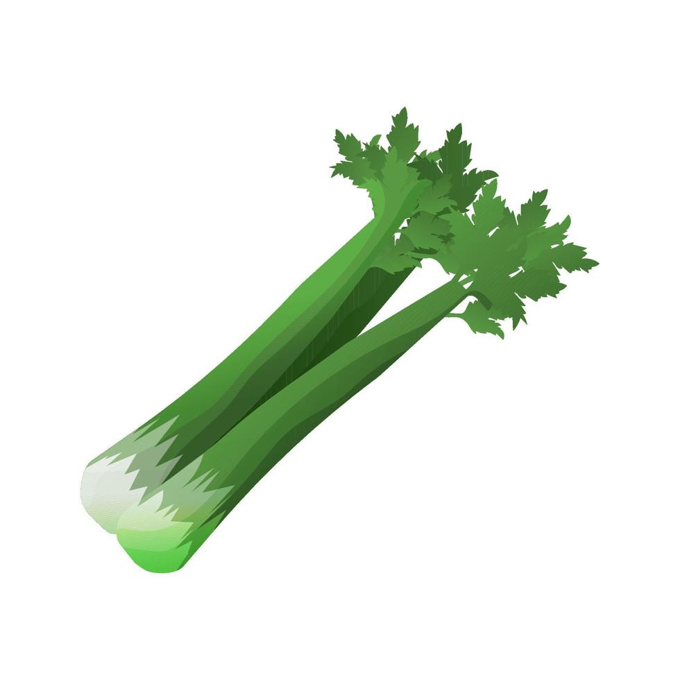 fresh celery vegetable icon over white background. colorful design. vector illustration
