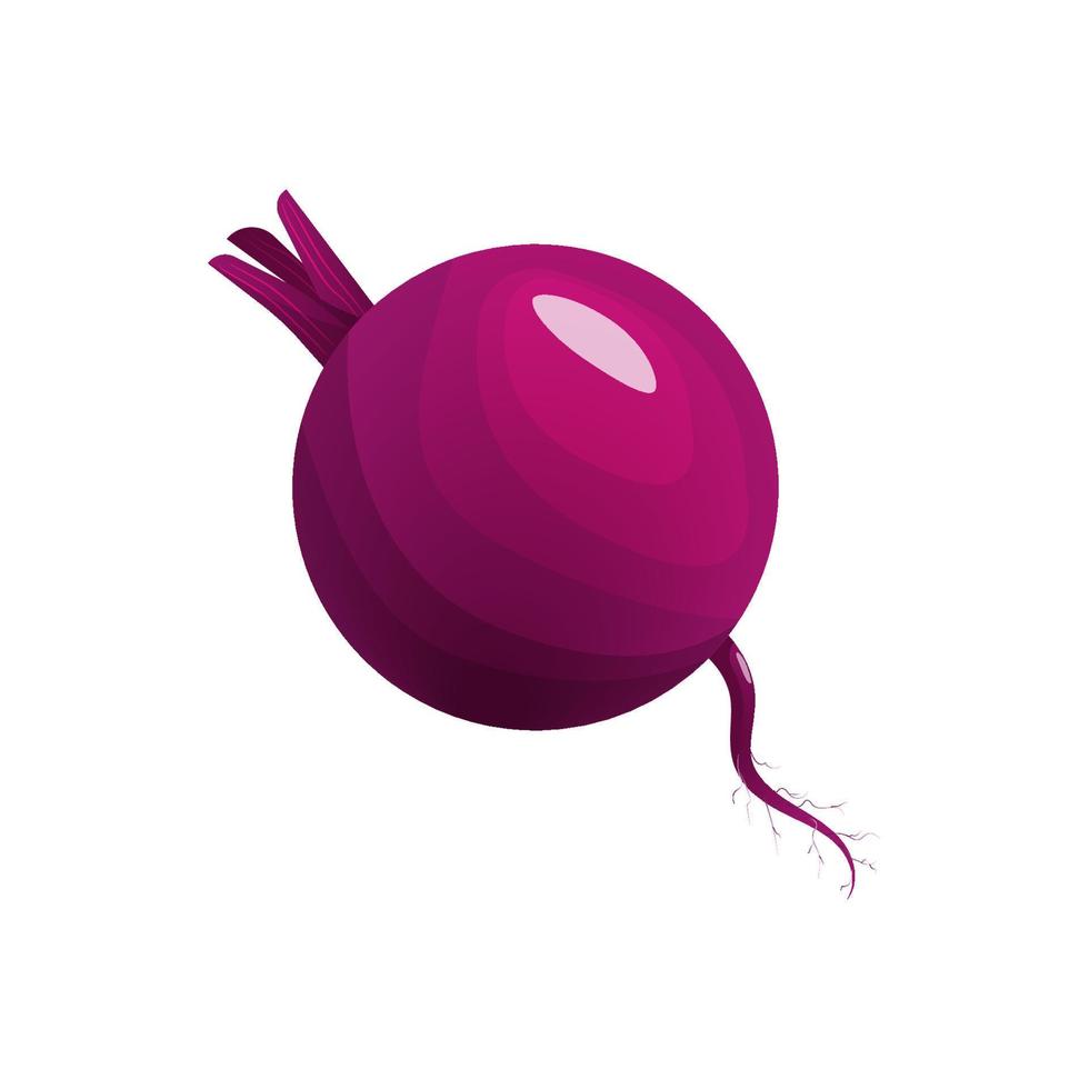 Beetroot on a white background. Vector illustration, flat design.