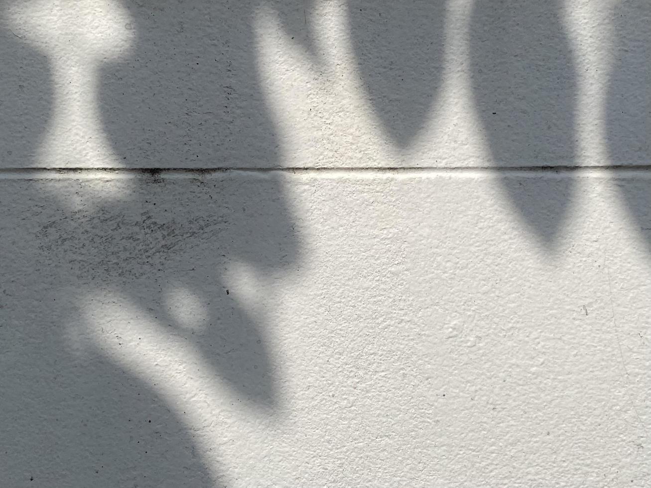 Leaves shadow background on concrete wall texture, leaves tree branches shade with sunlight photo