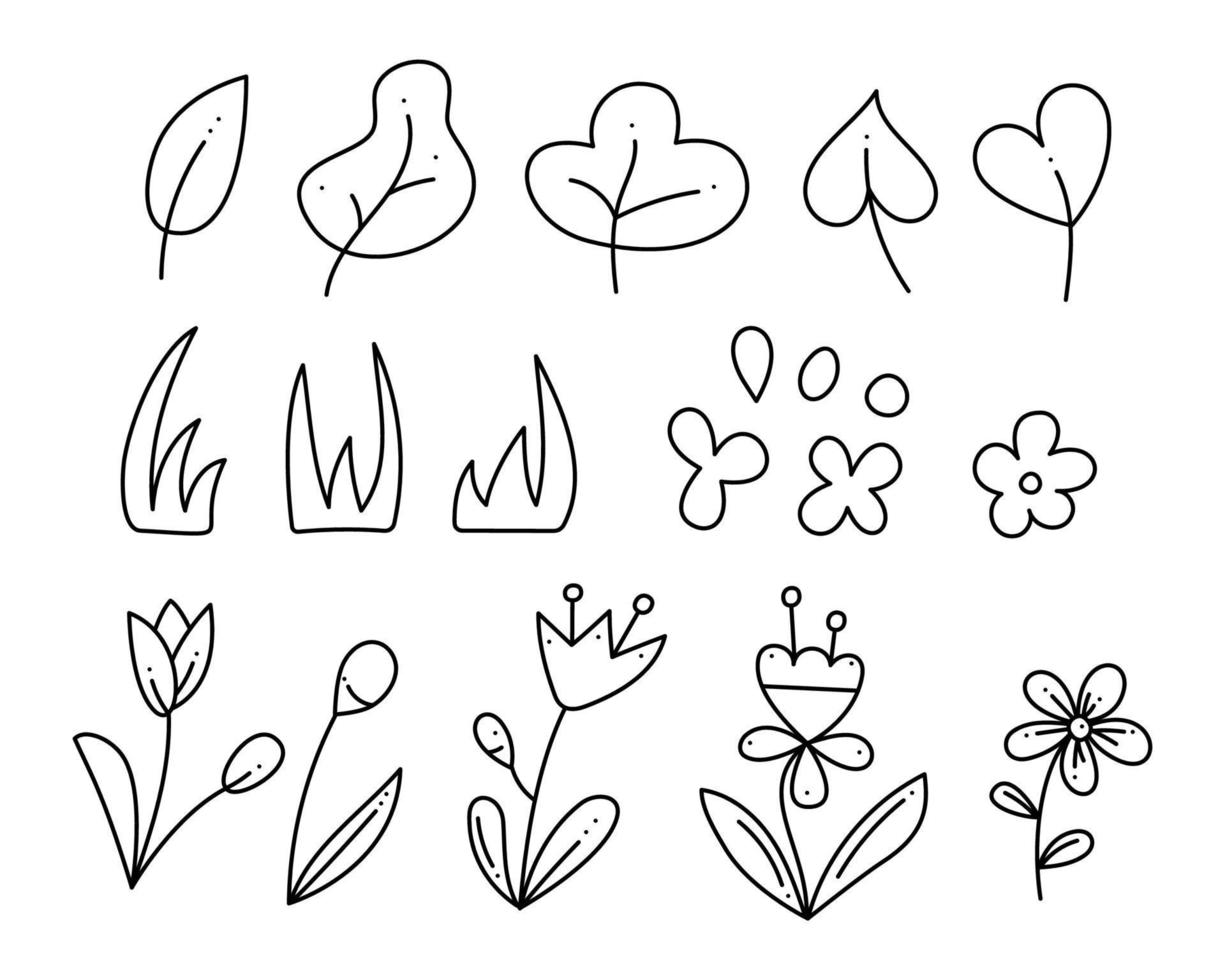 Natural set of abstract leaves, flowers and grass. Doodle vector black and white illustration.