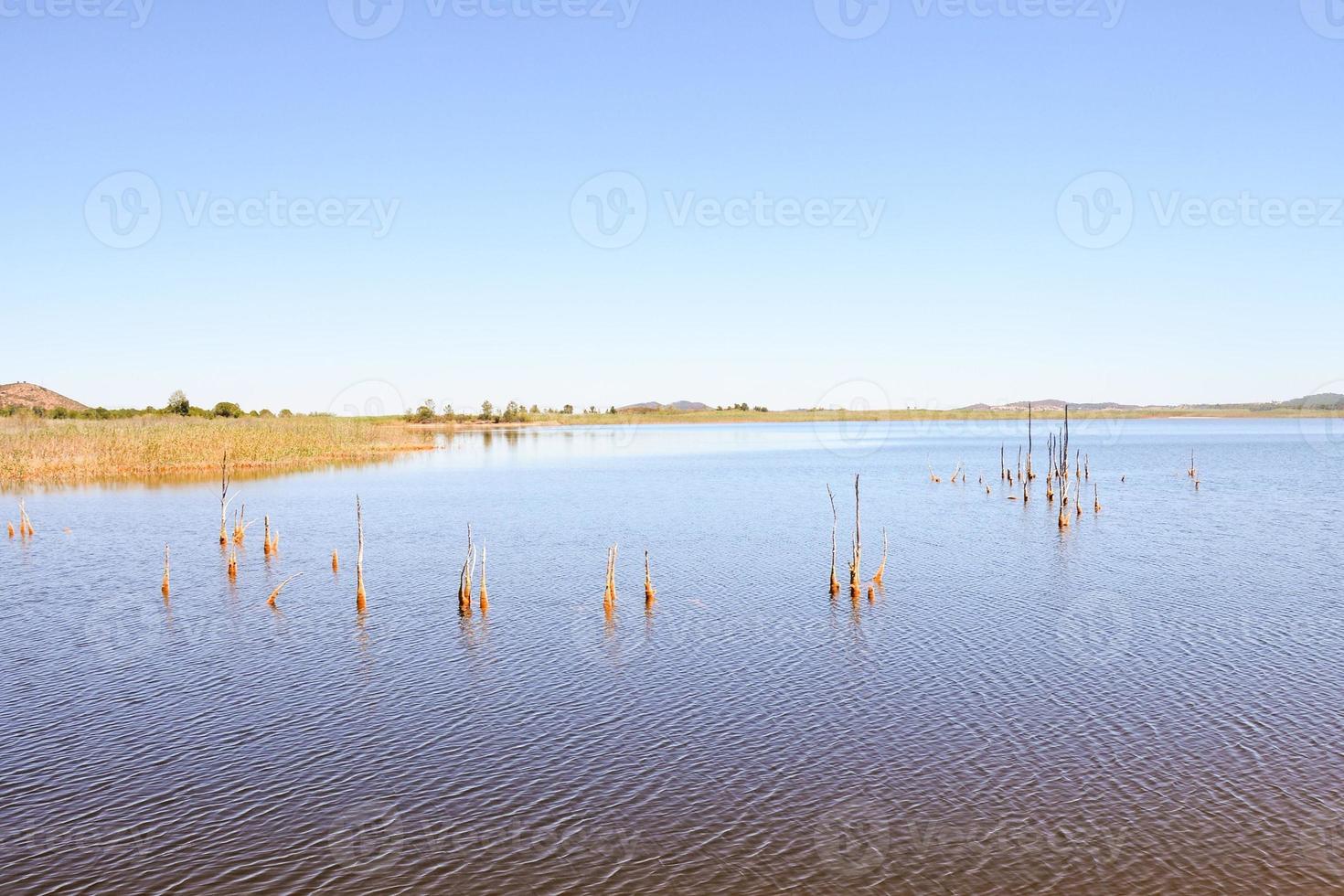 Scenic coastal view photo