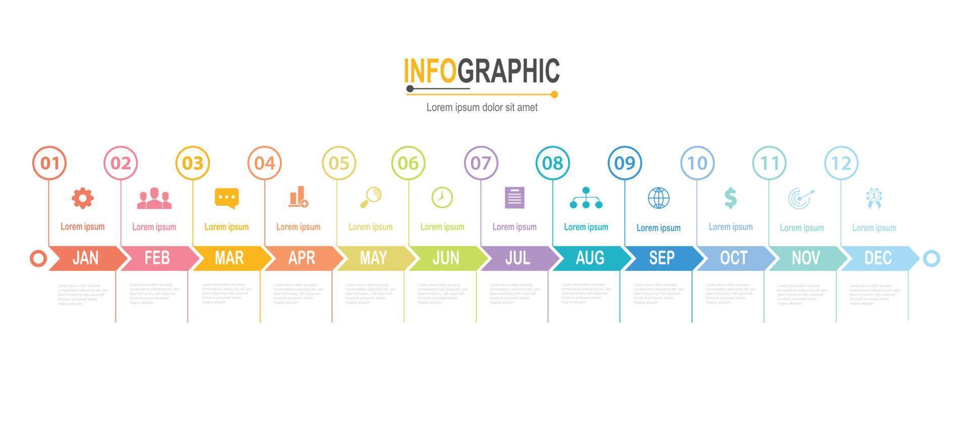 infografía 12 pasos cronograma en 1 año modelo negocio datos ilustración vector