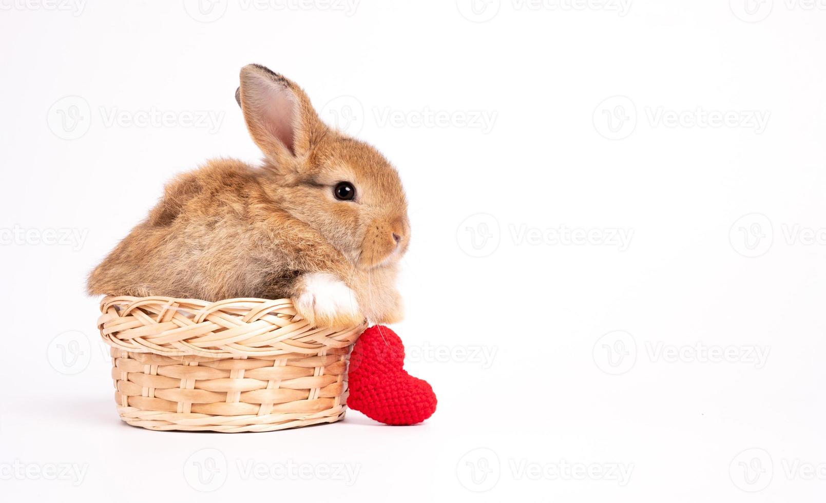 Furry and fluffy cute red brown rabbit erect ears are sitting in basket with a red heart beside, isolated on white background. Concept of rodent pet and easter. photo