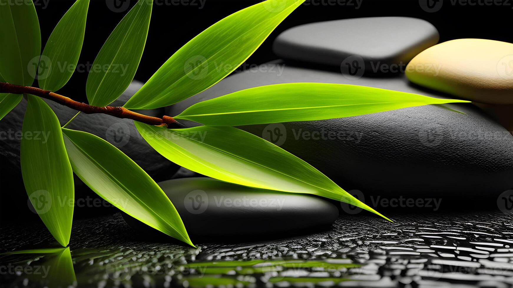 Natural spa illustration design with bamboo green leaves and zen stones. . photo