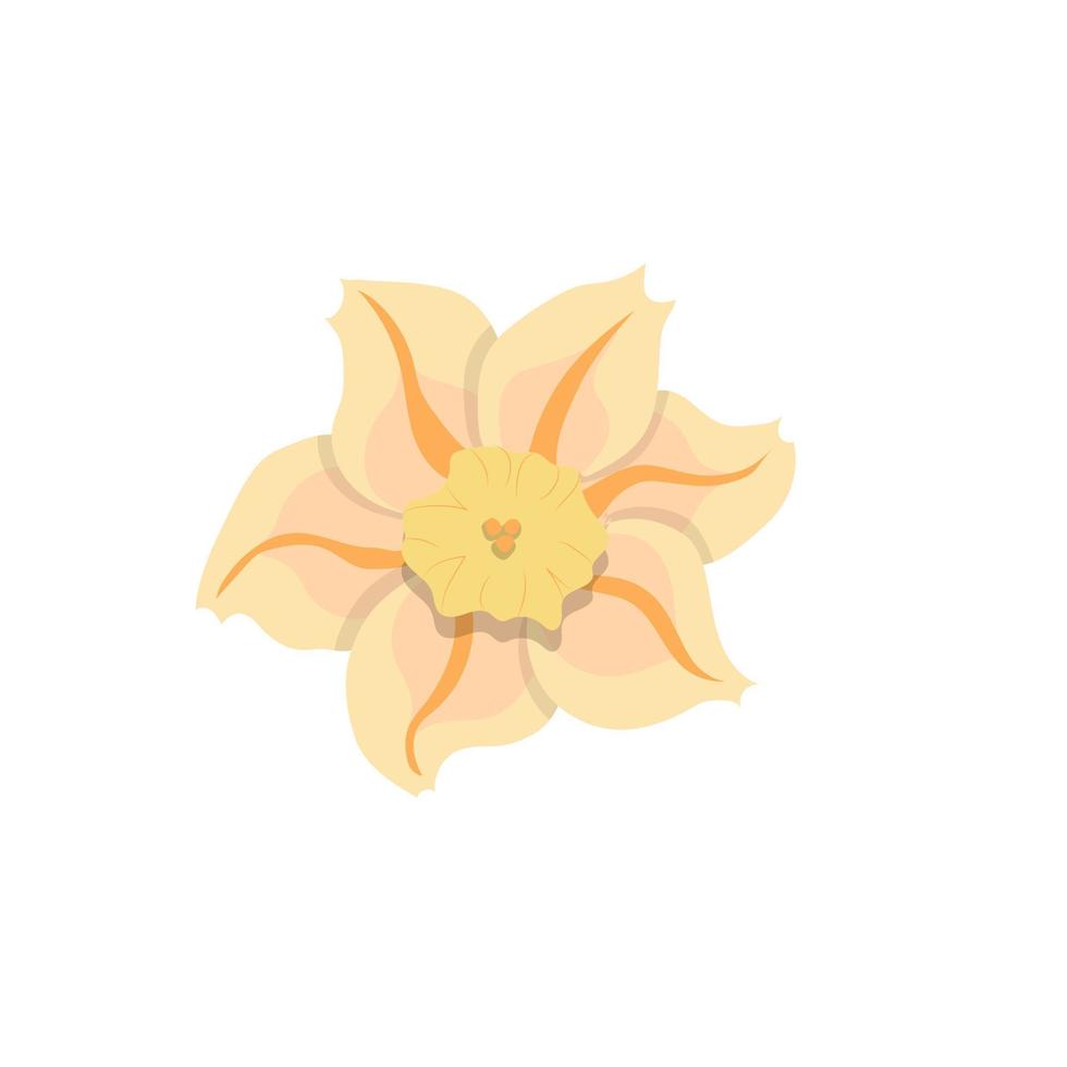Colorful abstract flower icon. Vector illustration isolated on white background.