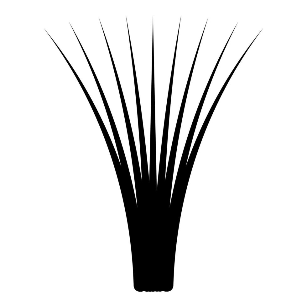 comestible césped La hierba de limón cymbopogon citratus especias vegetal herbario planta icono negro color vector ilustración imagen plano estilo