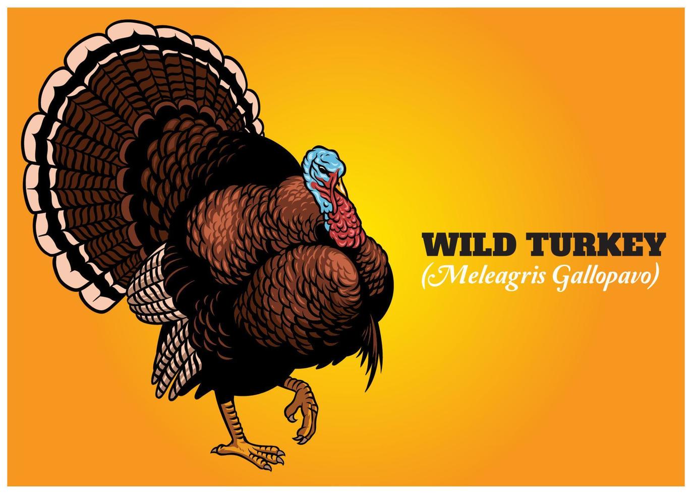 wild turkey in hand drawing style vector