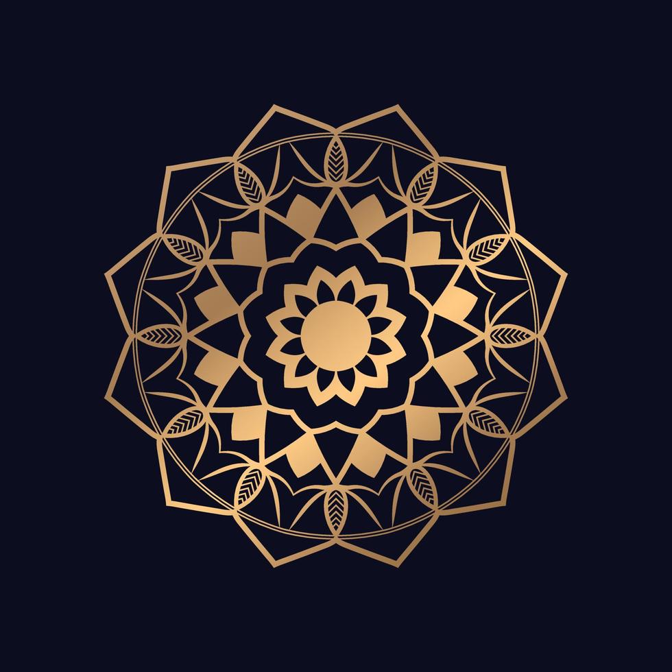 Circular flower design Mandala Pattern vector