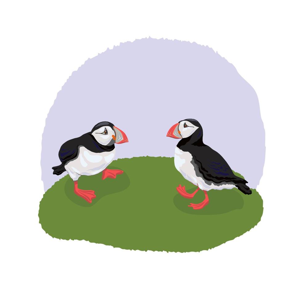 Vector illustration of the Atlantic puffin. Funny Northern bird isolated on a light background in a realistic watercolor style.  For banners, textiles, websites, web pages, and children's design.