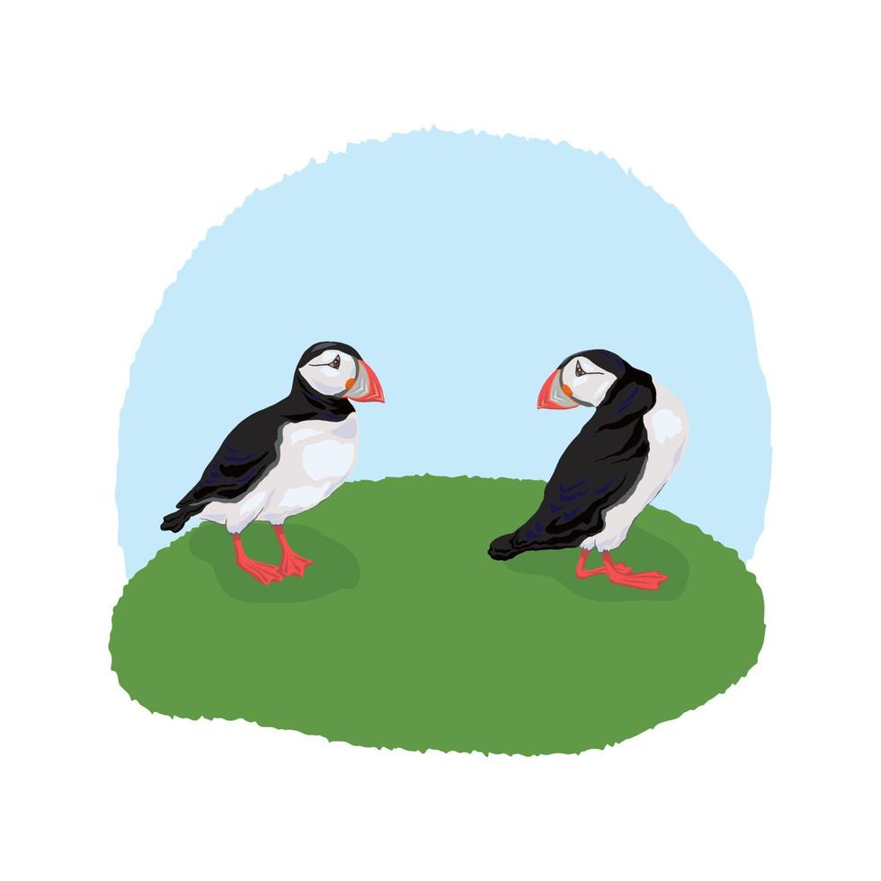 Vector illustration of the Atlantic puffin. Funny Northern bird isolated on a light background in a realistic watercolor style.  For banners, textiles, websites, web pages, and children's design.