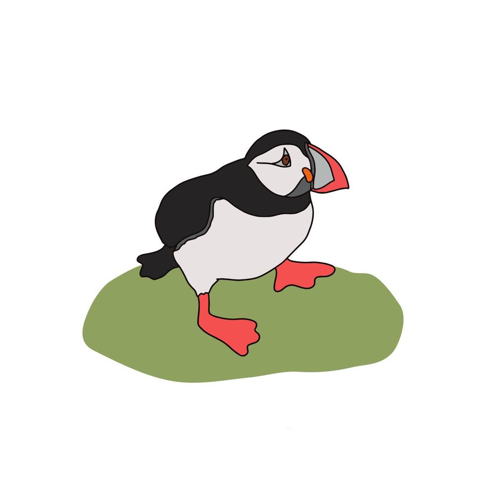 Vector illustration of the Atlantic puffin. Funny Northern bird isolated on a white background in cartoon style . For banners, textiles, Wallpapers, postcards, website design, web pages, etc.