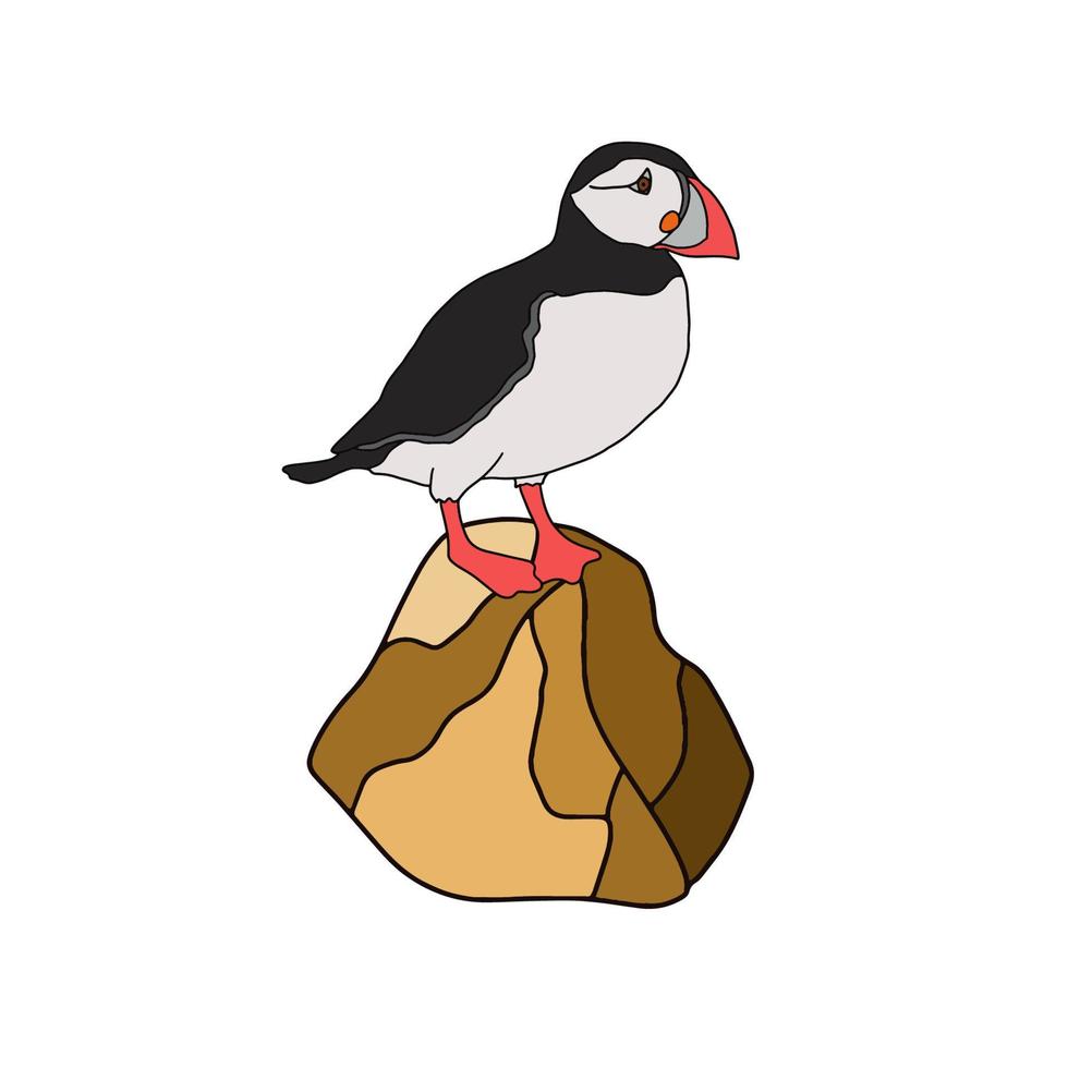 Vector illustration of the Atlantic puffin. Funny Northern bird isolated on a white background in cartoon style . For banners, textiles, Wallpapers, postcards, website design, web pages, etc.